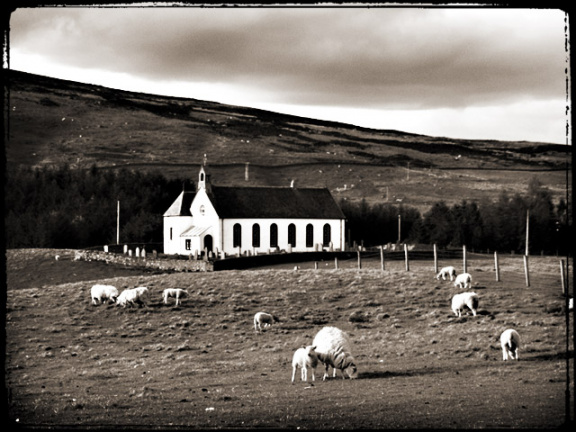 6sheep church