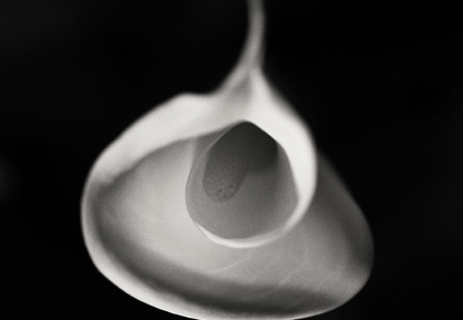 calla 4