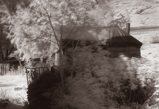 ir stag shed duotone