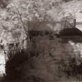 ir_stag_shed_duotone.jpg