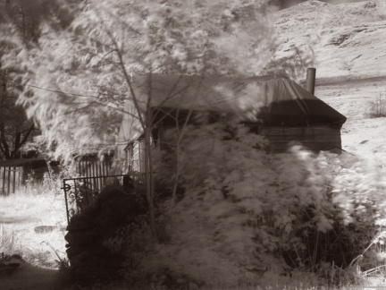 ir stag shed duotone