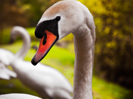 20100517 DSC 0766 as Smart Object 1