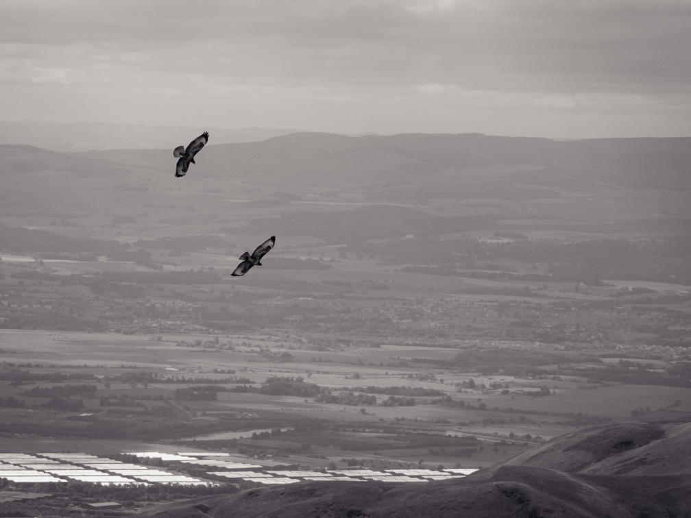 20130908 DSC 6745 1000