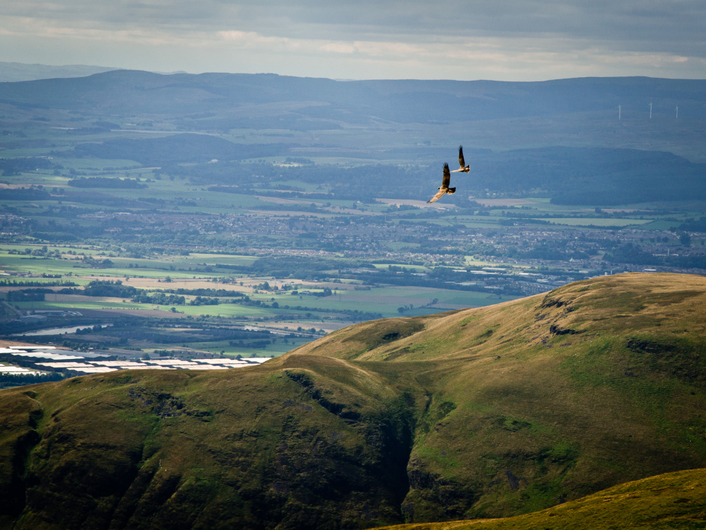 20130908 DSC 6746 1000