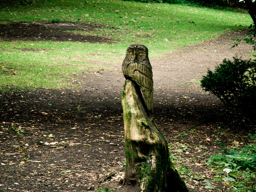 20130908 DSC 6866 1000