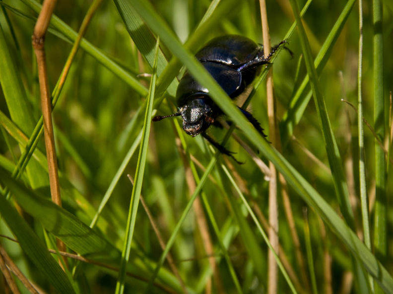 20130917 DSC 6915 1000