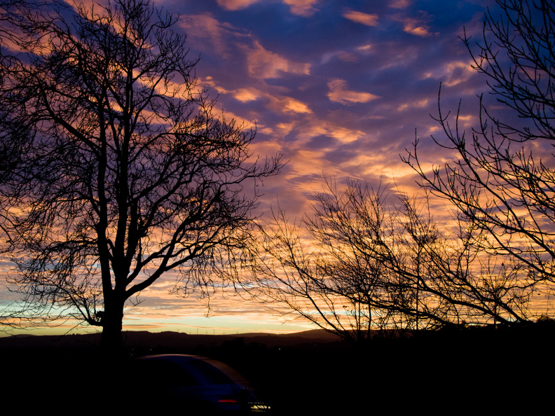 20131128 DSC 8020 1000