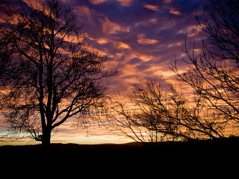 20131128 DSC 8021 1000