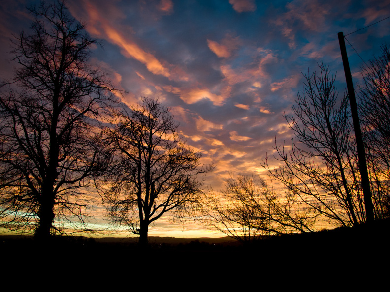 20131128 DSC 8022 1000