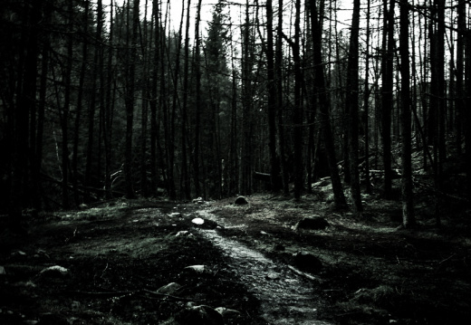 20140308 DSC 8890 1000