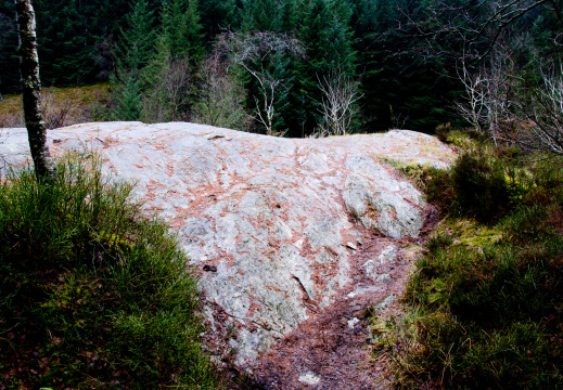 20140308 DSC 8891 1000