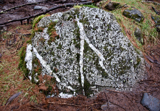 20140308 DSC 8898 1000