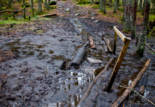 20140308 DSC 8901 1000