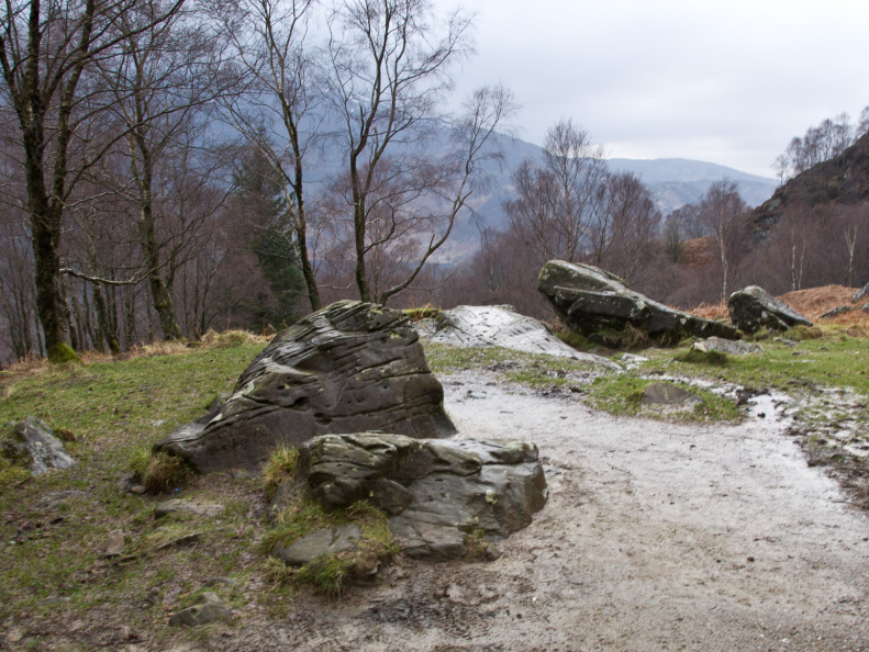 20140308 DSC 8907 1000