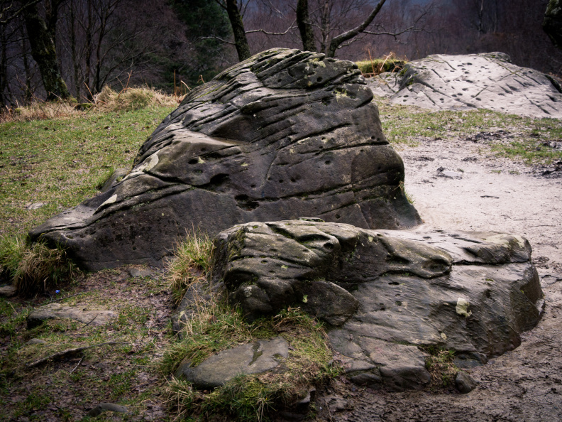 20140308 DSC 8908 1000