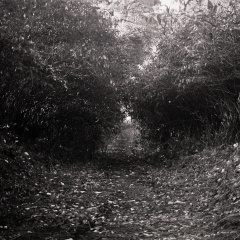 20171101 OM40 trix 002 1000