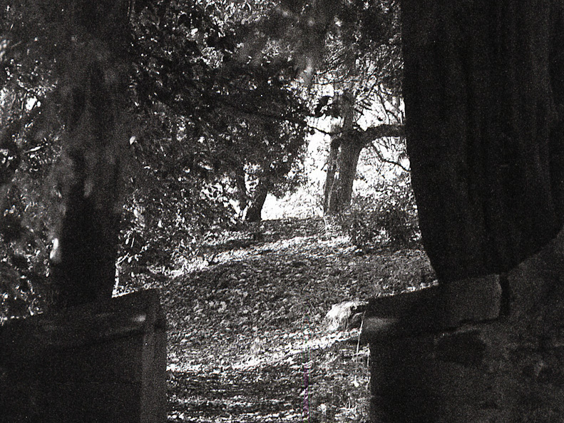 20171101 OM40 trix 009 1000