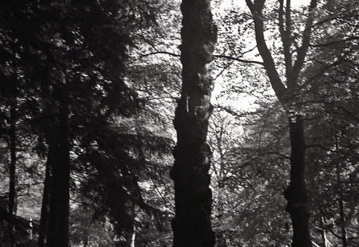 20171101 OM40 trix 023 1000