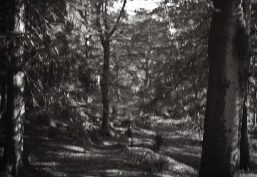 20171101 bessa66 fp4 003 1000-01