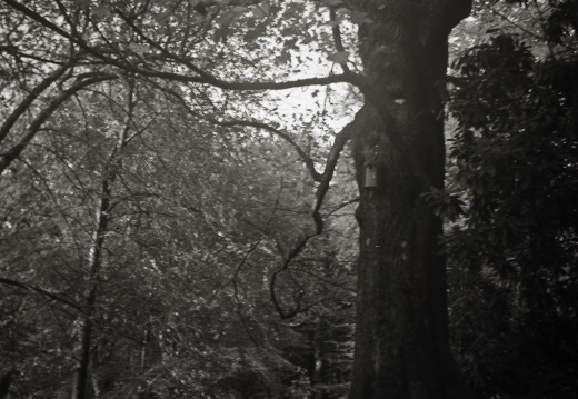 20171101 bessa66 fp4 004 1000