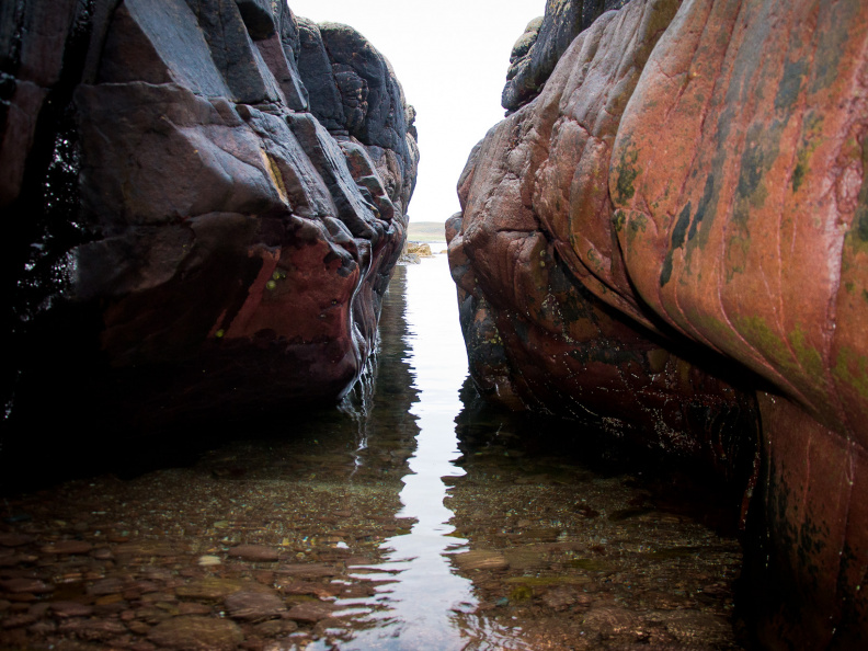 20140919 DSC 1084 1000