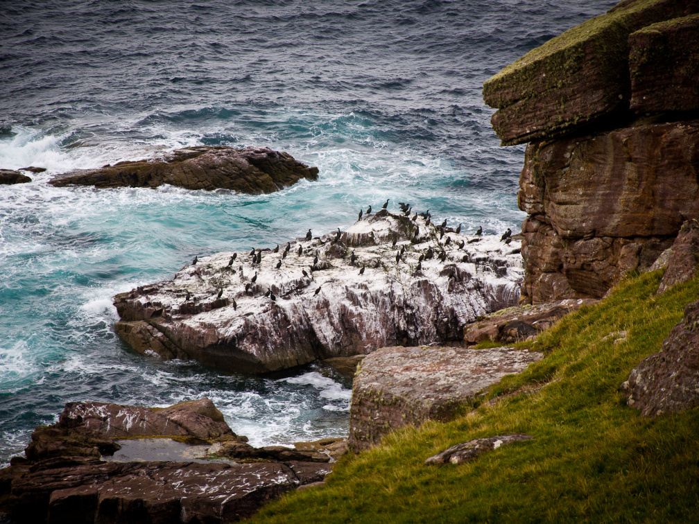 20140920 DSC 1215 1000