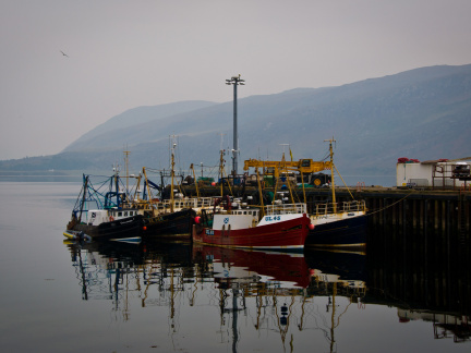 20140921 DSC 1348 1000