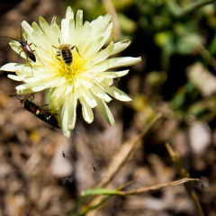 20140617 DSC 0268 1000