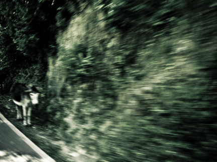 20100714 20100714 04 154 1000