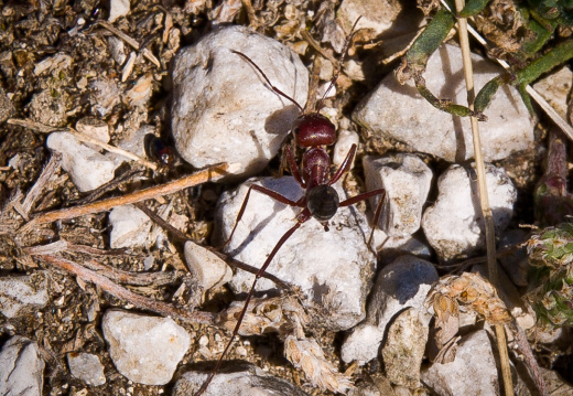 20100714 20100714 04 241 1000