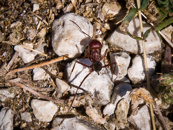 20100714 20100714 04 241 1000