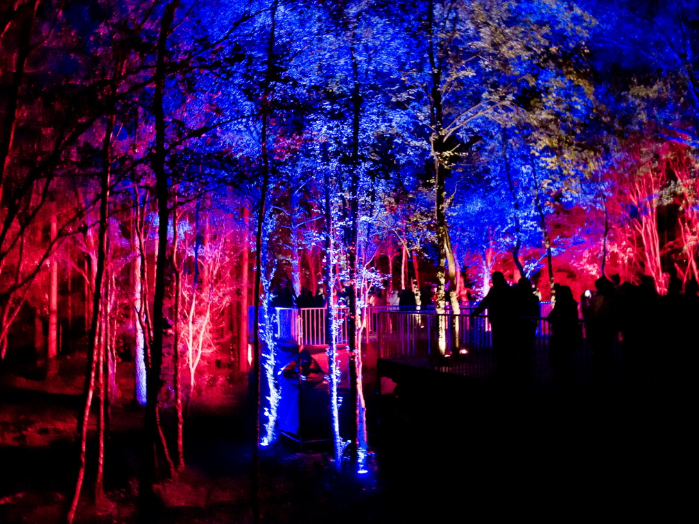 20151001 DSC 3759 1000