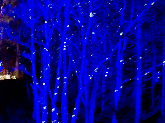 20151001 DSC 3767 1000