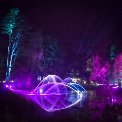 Enchanted-Forest-2015