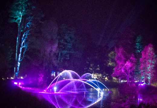 Enchanted-Forest-2015
