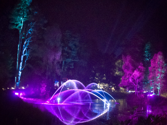 20151001 DSC 3773 1000