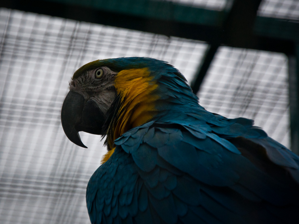 20130209 DSC 4933 1000