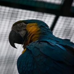 20130209 DSC 4933 1000