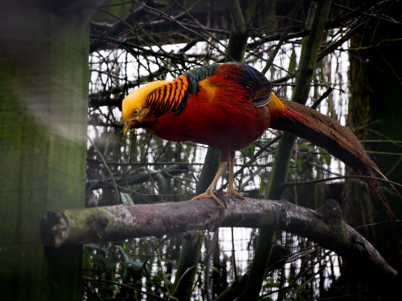 20130209 DSC 4970 1000