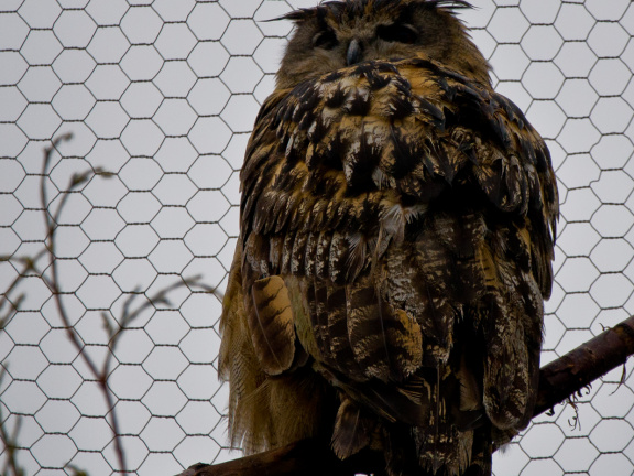 20130209 DSC 5030 1000