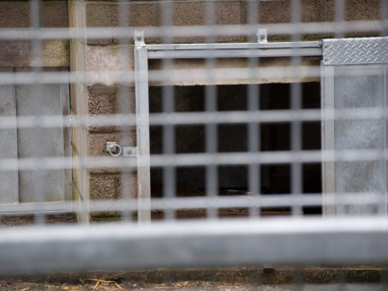 20130209 DSC 5271 1000