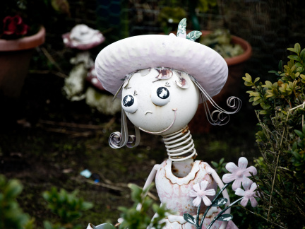 20130209 DSC 5272 1000