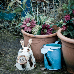 20130209 DSC 5277 1000