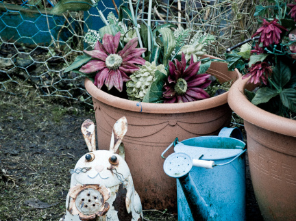 20130209 DSC 5277 1000