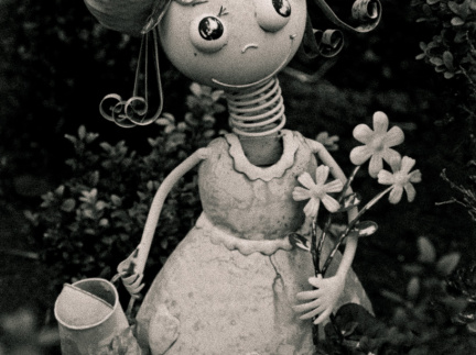 20130209 DSC 5278 1000