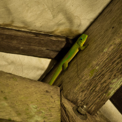 20131103 DSC 7097 1000