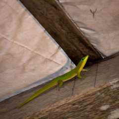 20131103 DSC 7099 1000