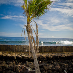 20131107 DSC 7233 1000