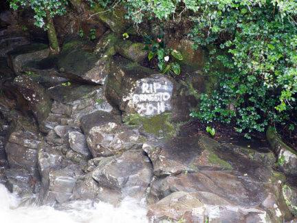 20131112 DSC 7684 1000