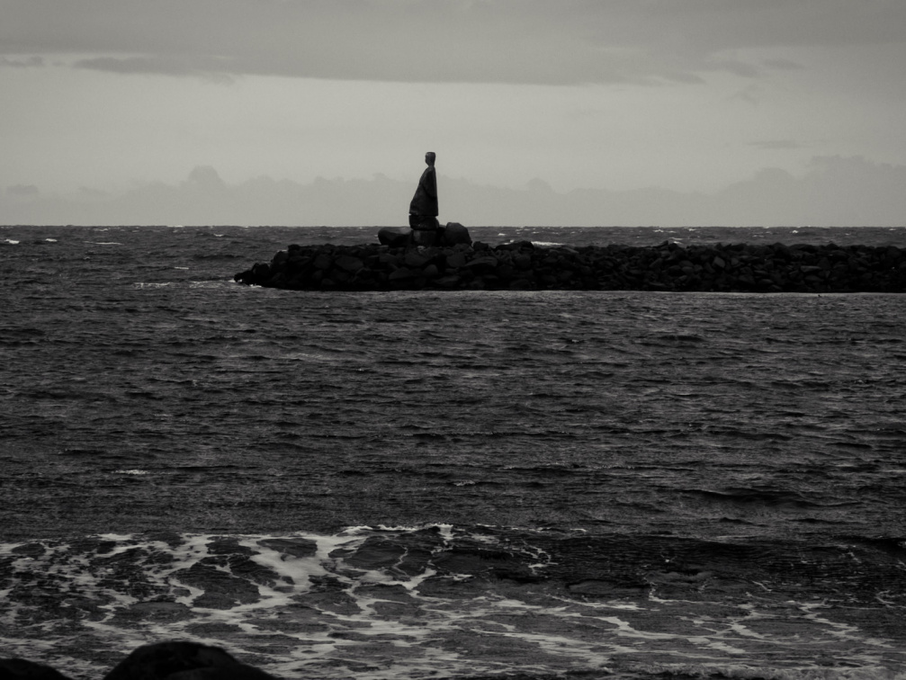 20140221 DSC 8168 1000